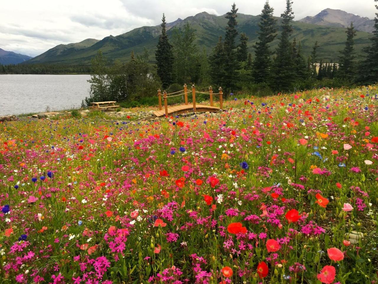 Denali Lakeview Inn Healy Exterior foto